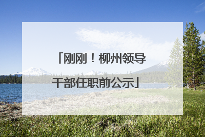 刚刚！柳州领导干部任职前公示
