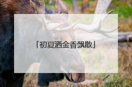 初夏洒金香飘散