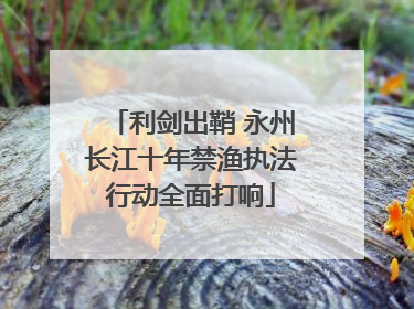 利剑出鞘 永州长江十年禁渔执法行动全面打响