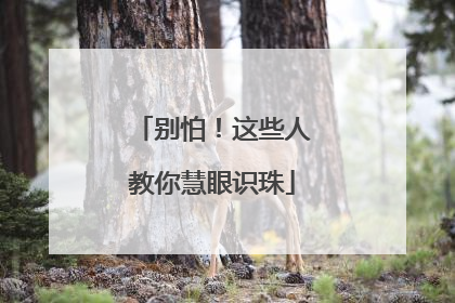 别怕！这些人教你慧眼识珠