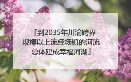 到2035年川渝跨界规模以上流经场镇的河流总体建成幸福河湖
