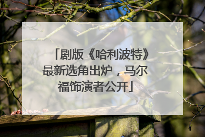 剧版《哈利波特》最新选角出炉，马尔福饰演者公开