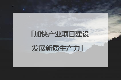 加快产业项目建设 发展新质生产力
