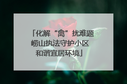 化解“禽”扰难题 崂山执法守护小区和谐宜居环境