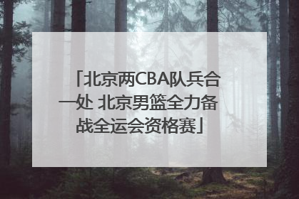 北京两CBA队兵合一处 北京男篮全力备战全运会资格赛