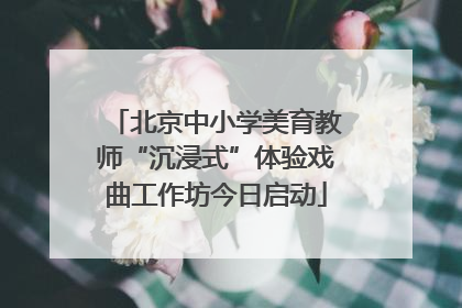 北京中小学美育教师“沉浸式”体验戏曲工作坊今日启动