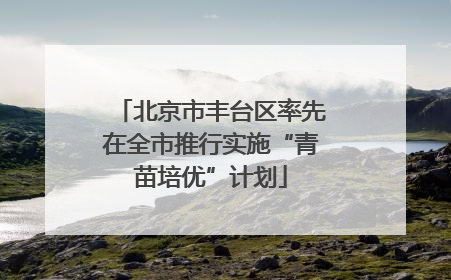 北京市丰台区率先在全市推行实施“青苗培优”计划