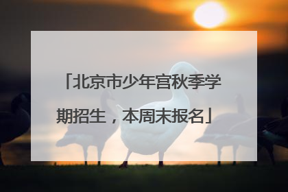 北京市少年宫秋季学期招生，本周末报名