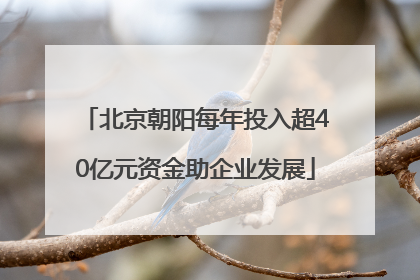 北京朝阳每年投入超40亿元资金助企业发展