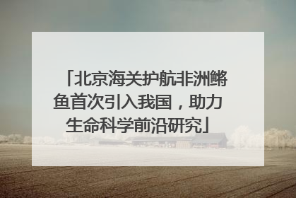 北京海关护航非洲鳉鱼首次引入我国，助力生命科学前沿研究
