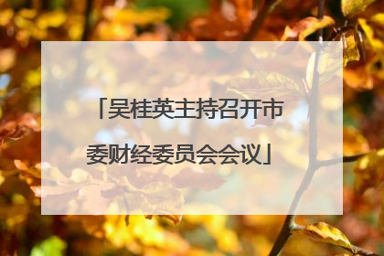 吴桂英主持召开市委财经委员会会议