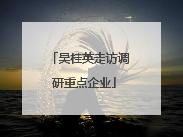 吴桂英走访调研重点企业