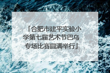 合肥市建平实验小学第七届艺术节巴乌专场比赛圆满举行