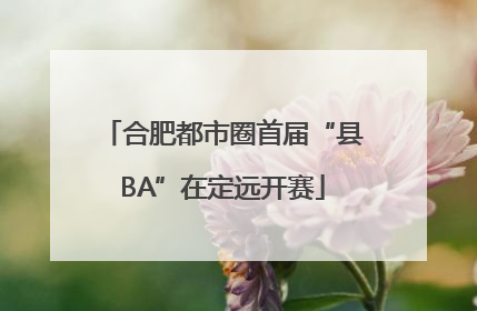合肥都市圈首届“县BA”在定远开赛