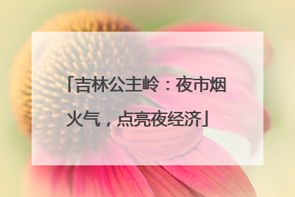 吉林公主岭：夜市烟火气，点亮夜经济