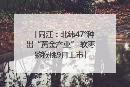 同江：北纬47°种出“黄金产业” 软枣猕猴桃9月上市