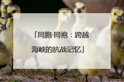 同胞·同袍：跨越海峡的抗战记忆