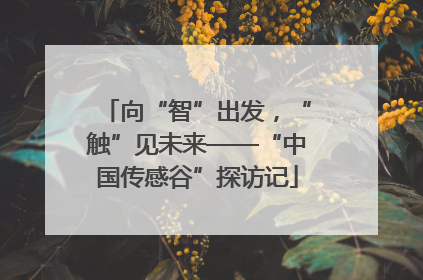 向“智”出发，“触”见未来——“中国传感谷”探访记