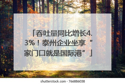 吞吐量同比增长4.3%！泰州企业坐享“家门口就是国际港”