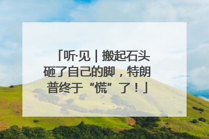 听·见｜搬起石头砸了自己的脚，特朗普终于“慌”了！