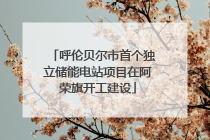 呼伦贝尔市首个独立储能电站项目在阿荣旗开工建设