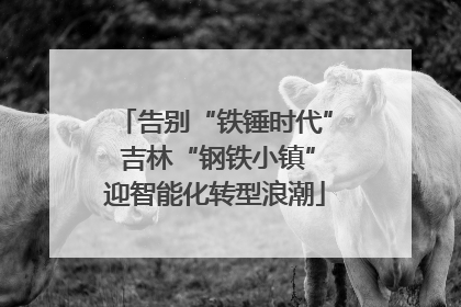 告别“铁锤时代” 吉林“钢铁小镇”迎智能化转型浪潮