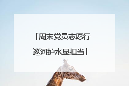 周末党员志愿行 巡河护水显担当