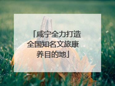 咸宁全力打造全国知名文旅康养目的地