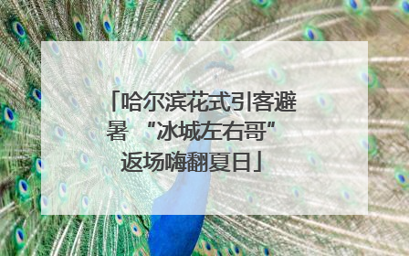 哈尔滨花式引客避暑 “冰城左右哥”返场嗨翻夏日