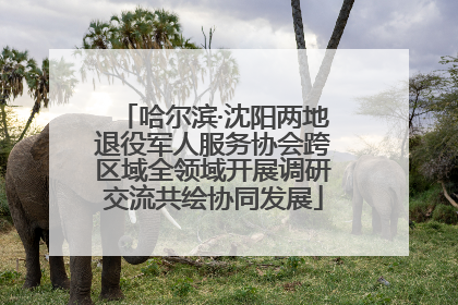 哈尔滨·沈阳两地退役军人服务协会跨区域全领域开展调研交流共绘协同发展