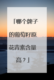 哪个牌子的葡萄籽原花青素含量高？