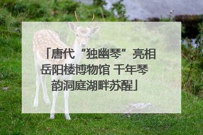 唐代“独幽琴”亮相岳阳楼博物馆 千年琴韵洞庭湖畔苏醒