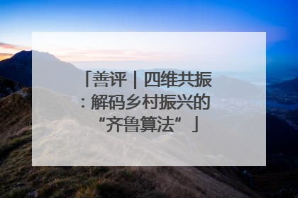 善评｜四维共振：解码乡村振兴的“齐鲁算法”