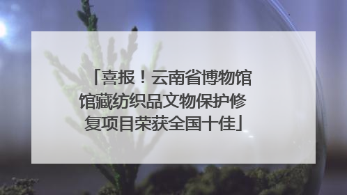 喜报！云南省博物馆馆藏纺织品文物保护修复项目荣获全国十佳