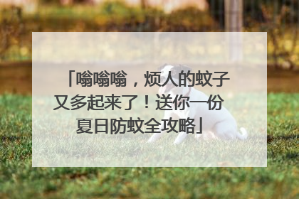 嗡嗡嗡，烦人的蚊子又多起来了！送你一份夏日防蚊全攻略