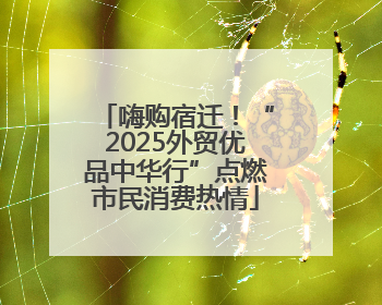 嗨购宿迁！“2025外贸优品中华行”点燃市民消费热情