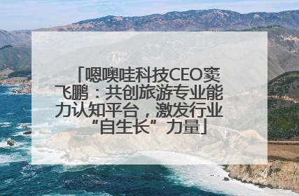 嗯噢哇科技CEO窦飞鹏：共创旅游专业能力认知平台，激发行业“自生长”力量
