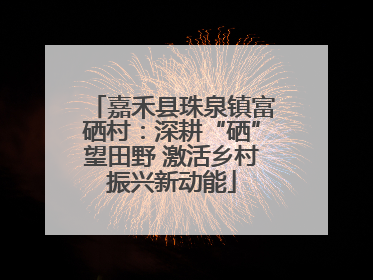 嘉禾县珠泉镇富硒村：深耕“硒”望田野 激活乡村振兴新动能