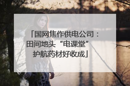 国网焦作供电公司：田间地头“电课堂” 护航药材好收成