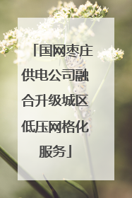 国网枣庄供电公司融合升级城区低压网格化服务