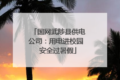 国网武陟县供电公司：用电进校园  安全过暑假
