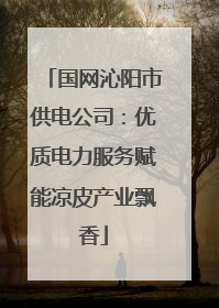 国网沁阳市供电公司：优质电力服务赋能凉皮产业飘香