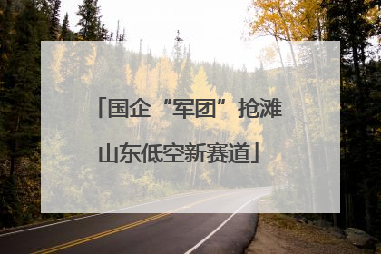 国企“军团”抢滩山东低空新赛道