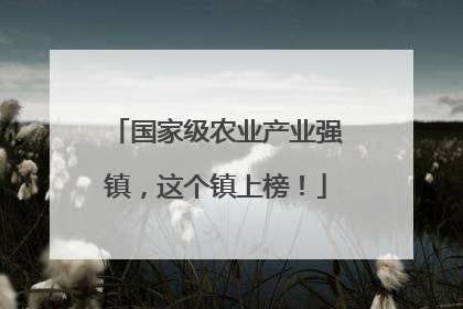 国家级农业产业强镇，这个镇上榜！