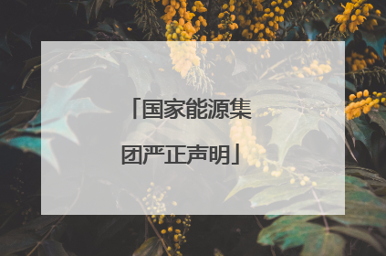 国家能源集团严正声明
