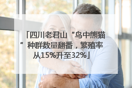 四川老君山“鸟中熊猫”种群数量翻番，繁殖率从15%升至32%