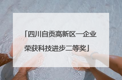 四川自贡高新区一企业荣获科技进步二等奖