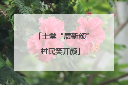 土堂“展新颜” 村民笑开颜