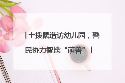 土拨鼠造访幼儿园，警民协力智擒“萌兽”