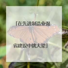 在先进制造业强省建设中挑大梁
